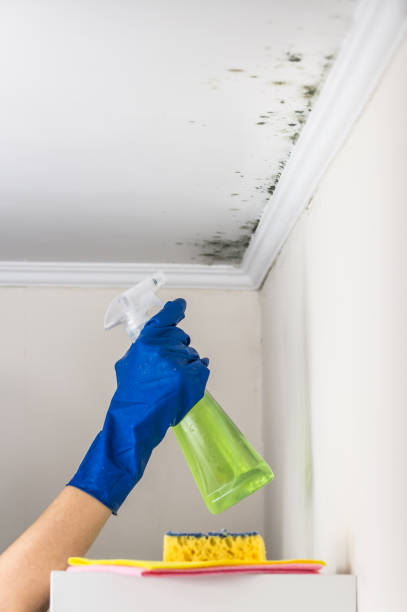 Water Damage Restoration in Machias, WA
